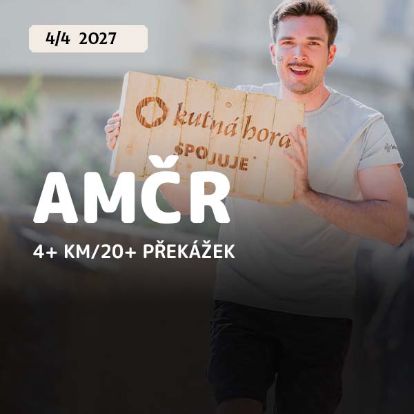 AMČR