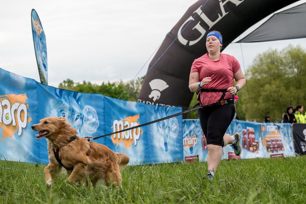 sedivy photography 080110 sedivy photography 080110