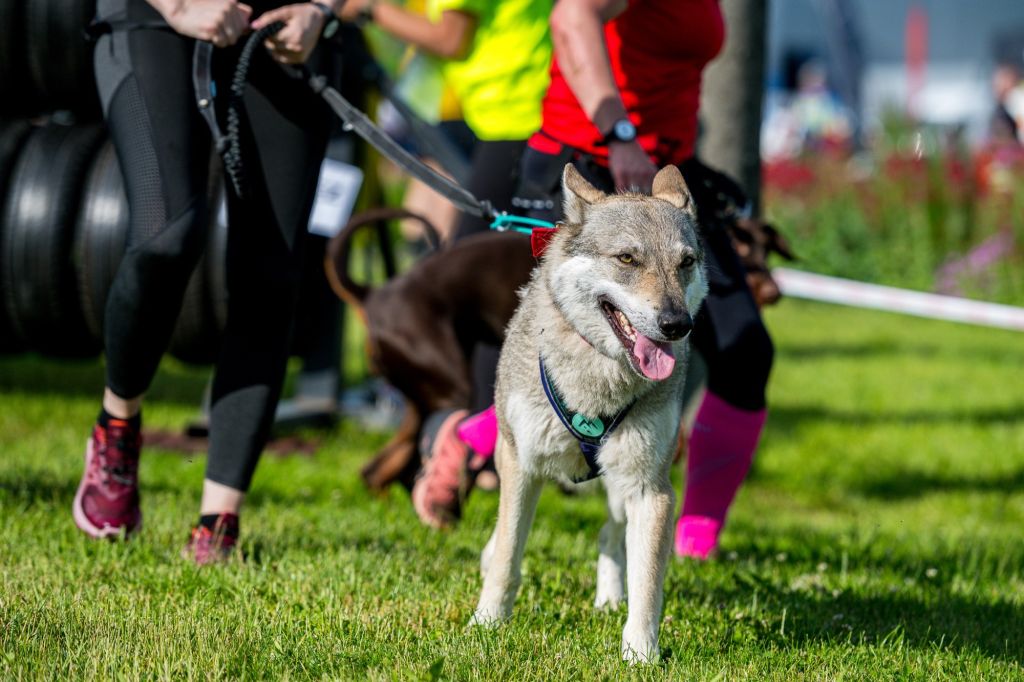 sedivy photography 080529 sedivy photography 080529