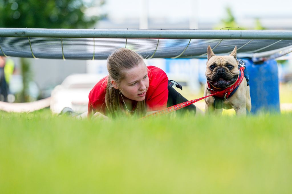 sedivy photography 080642 sedivy photography 080642