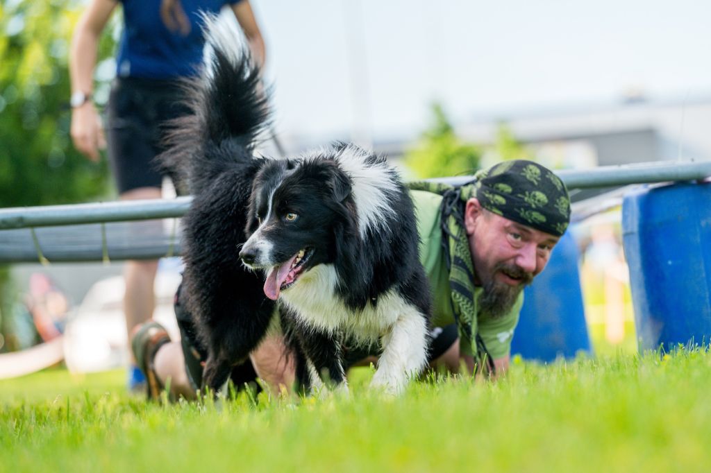 sedivy photography 080744 sedivy photography 080744