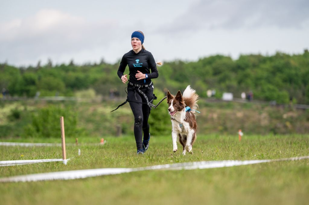 sedivy photography 082502 sedivy photography 082502