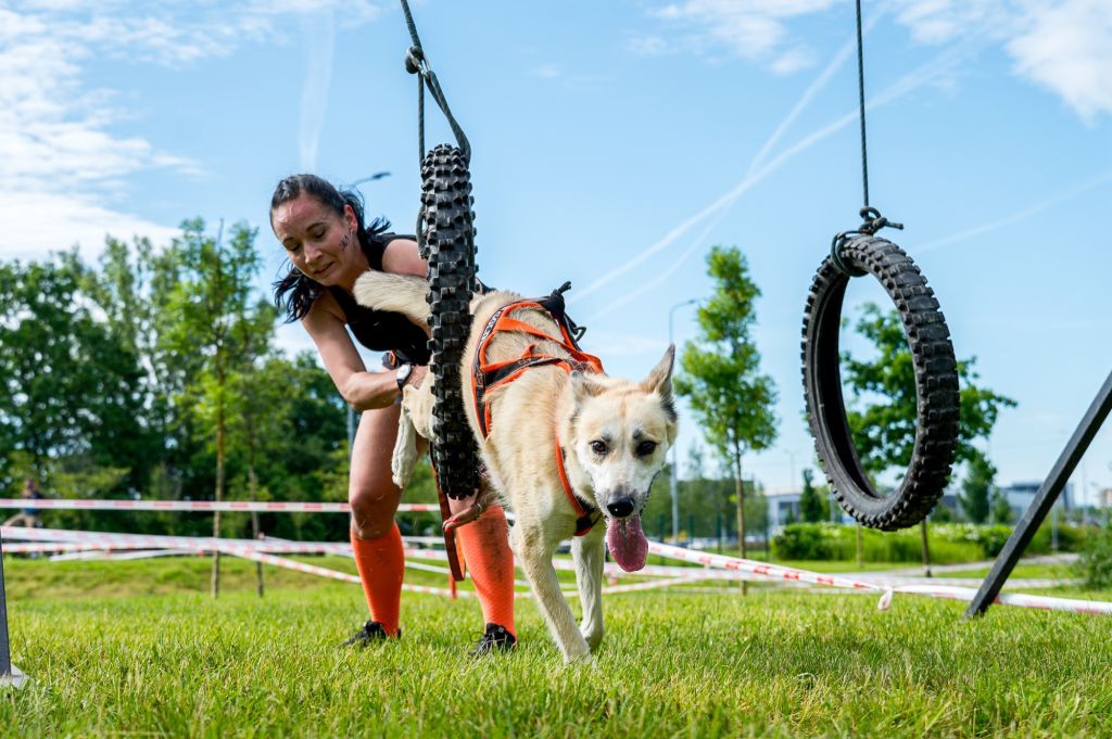 sedivy photography 083908 sedivy photography 083908