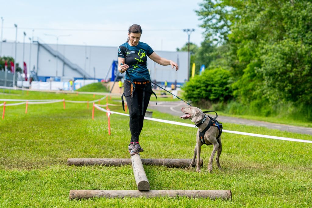 sedivy photography 084503 sedivy photography 084503