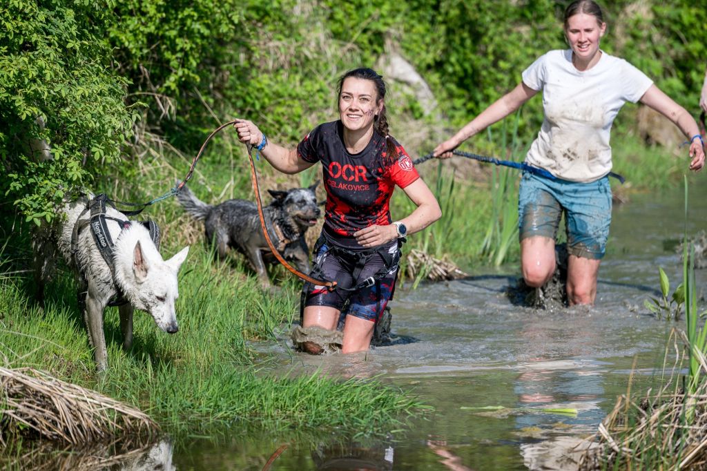 sedivy photography 092551 sedivy photography 092551