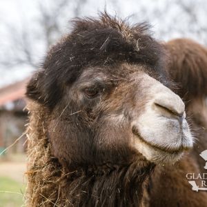 sedivy photography 122730