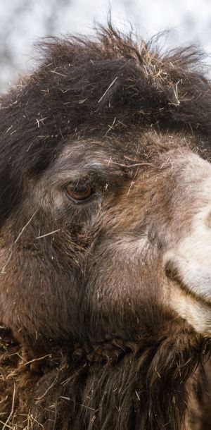 sedivy photography 122730