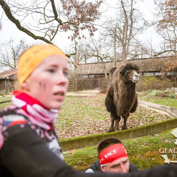 sedivy photography 122940