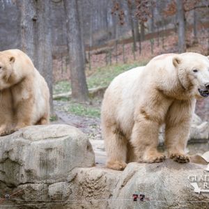 sedivy photography 141817