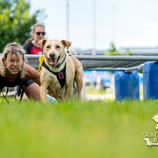 sedivy photography 082808