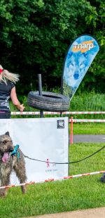 sedivy photography 085013