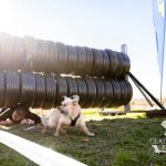 sedivy photography 113044