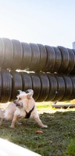 sedivy photography 113044