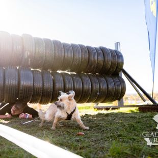 sedivy photography 113044