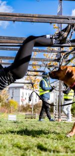 sedivy photography 121523