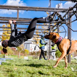 sedivy photography 121523