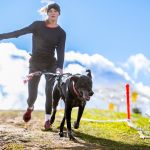 sedivy photography 121831