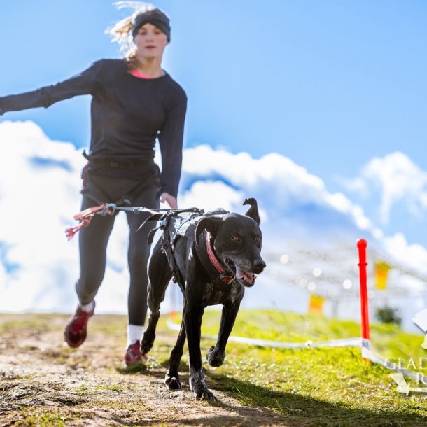 sedivy photography 121831