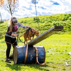 sedivy photography 122514