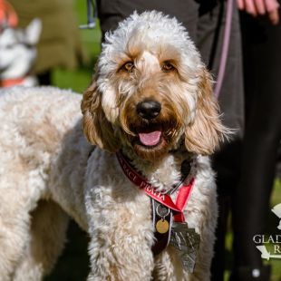 sedivy photography 123343