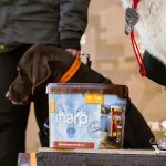 sedivy photography 123616