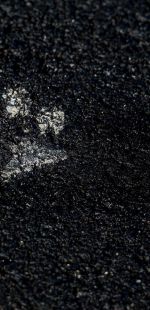 sedivy photography 093133