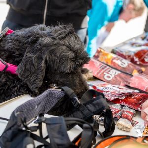 sedivy photography 104748