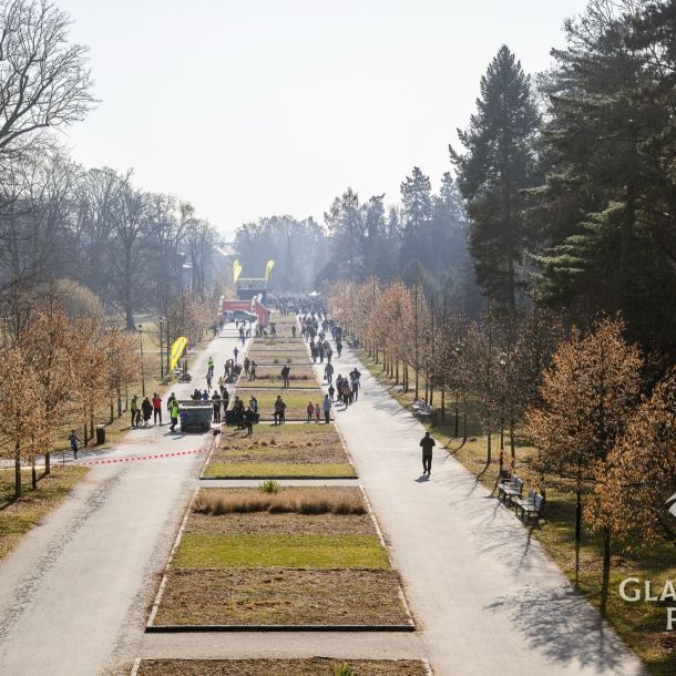 sedivy photography 093543