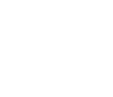 Gladiator Race