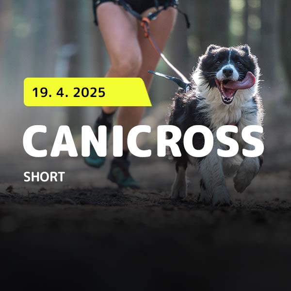 Canicross